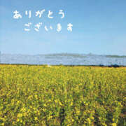 ヒメ日記 2025/06/03 23:10 投稿 なごみ 奥鉄オクテツ東京店（デリヘル市場）