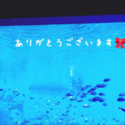 ヒメ日記 2025/06/08 10:45 投稿 なごみ 奥鉄オクテツ東京店（デリヘル市場）