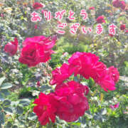 ヒメ日記 2025/06/08 22:40 投稿 なごみ 奥鉄オクテツ東京店（デリヘル市場）