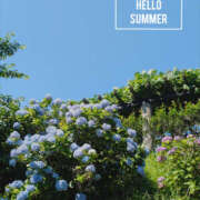 ヒメ日記 2025/08/09 22:55 投稿 なごみ 奥鉄オクテツ東京店（デリヘル市場）