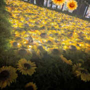 ヒメ日記 2025/08/28 23:10 投稿 なごみ 奥鉄オクテツ東京店（デリヘル市場）