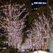 ヒメ日記 2025/12/14 23:20 投稿 なごみ 奥鉄オクテツ東京店（デリヘル市場）