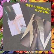 ヒメ日記 2025/04/19 06:41 投稿 りょうこ 千葉人妻セレブリティ（ユメオト）