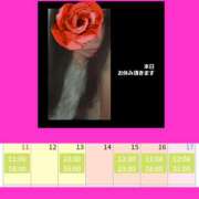 ヒメ日記 2025/05/10 08:36 投稿 りょうこ 千葉人妻セレブリティ（ユメオト）