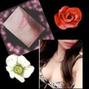 ヒメ日記 2025/05/10 10:07 投稿 りょうこ 千葉人妻セレブリティ（ユメオト）