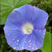 ヒメ日記 2025/06/24 11:36 投稿 りょうこ 千葉人妻セレブリティ（ユメオト）