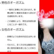 ヒメ日記 2025/08/31 05:53 投稿 りょうこ 千葉人妻セレブリティ（ユメオト）