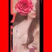 ヒメ日記 2025/09/29 06:57 投稿 りょうこ 千葉人妻セレブリティ（ユメオト）