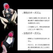 ヒメ日記 2025/10/04 18:30 投稿 りょうこ 千葉人妻セレブリティ（ユメオト）