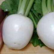 ヒメ日記 2025/10/13 20:18 投稿 りょうこ 千葉人妻セレブリティ（ユメオト）