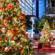 ヒメ日記 2025/12/24 07:39 投稿 りょうこ 千葉人妻セレブリティ（ユメオト）