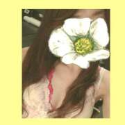 ヒメ日記 2026/01/22 12:03 投稿 りょうこ 千葉人妻セレブリティ（ユメオト）