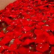 ヒメ日記 2026/02/06 06:47 投稿 りょうこ 千葉人妻セレブリティ（ユメオト）