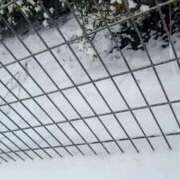 ヒメ日記 2026/02/08 09:54 投稿 りょうこ 千葉人妻セレブリティ（ユメオト）