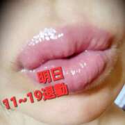 ヒメ日記 2026/02/12 10:31 投稿 りょうこ 千葉人妻セレブリティ（ユメオト）