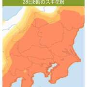 ヒメ日記 2026/02/28 08:12 投稿 りょうこ 千葉人妻セレブリティ（ユメオト）
