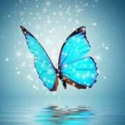 ヒメ日記 2026/03/02 07:02 投稿 りょうこ 千葉人妻セレブリティ（ユメオト）