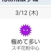 ヒメ日記 2026/03/12 07:54 投稿 りょうこ 千葉人妻セレブリティ（ユメオト）