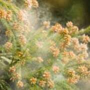 ヒメ日記 2026/03/27 06:41 投稿 りょうこ 千葉人妻セレブリティ（ユメオト）