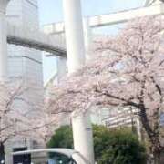 ヒメ日記 2026/03/30 10:33 投稿 りょうこ 千葉人妻セレブリティ（ユメオト）