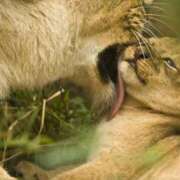 ヒメ日記 2026/04/07 19:30 投稿 りょうこ 千葉人妻セレブリティ（ユメオト）