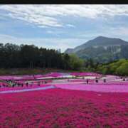 ヒメ日記 2026/04/21 10:06 投稿 りょうこ 千葉人妻セレブリティ（ユメオト）