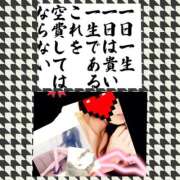 ヒメ日記 2026/09/12 08:12 投稿 りょうこ 千葉人妻セレブリティ（ユメオト）