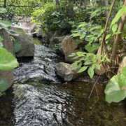 ヒメ日記 2025/06/28 11:34 投稿 まあ 千葉人妻セレブリティ（ユメオト）