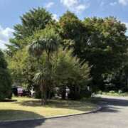 ヒメ日記 2025/08/09 08:00 投稿 まあ 千葉人妻セレブリティ（ユメオト）