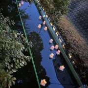 ヒメ日記 2025/08/10 21:01 投稿 まあ 千葉人妻セレブリティ（ユメオト）