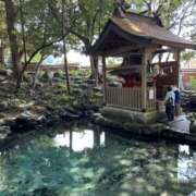 ヒメ日記 2025/08/11 23:31 投稿 まあ 千葉人妻セレブリティ（ユメオト）