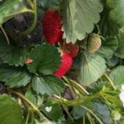 ヒメ日記 2025/09/22 17:58 投稿 まあ 千葉人妻セレブリティ（ユメオト）