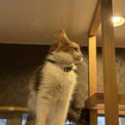 まあ 15日のお礼日記💌 千葉人妻セレブリティ（ユメオト）