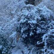 まあ 出勤日✨️ 千葉人妻セレブリティ（ユメオト）