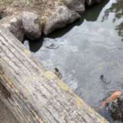 まあ 8日のお礼💌 千葉人妻セレブリティ（ユメオト）