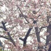 ヒメ日記 2026/04/14 22:16 投稿 まあ 千葉人妻セレブリティ（ユメオト）