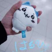 ヒメ日記 2025/04/15 07:36 投稿 はるひ スイカ