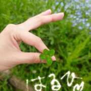 ヒメ日記 2025/04/26 22:59 投稿 はるひ スイカ