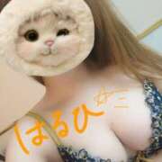 ヒメ日記 2025/04/27 07:55 投稿 はるひ スイカ