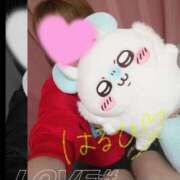 ヒメ日記 2025/05/16 23:38 投稿 はるひ スイカ