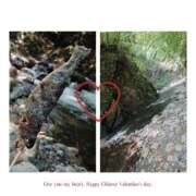 ヒメ日記 2025/06/19 23:41 投稿 はるひ スイカ