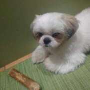 ヒメ日記 2025/07/25 08:18 投稿 はるひ スイカ