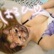 ヒメ日記 2025/10/01 08:35 投稿 はるひ スイカ