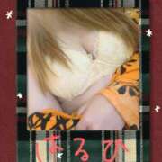 ヒメ日記 2025/11/17 08:53 投稿 はるひ スイカ