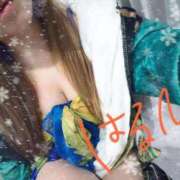 ヒメ日記 2025/12/23 10:03 投稿 はるひ スイカ