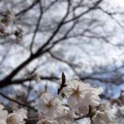 ヒメ日記 2026/03/27 13:31 投稿 しえる 熟女の風俗最終章 宇都宮店