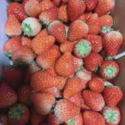 ヒメ日記 2026/04/01 21:21 投稿 しえる 熟女の風俗最終章 宇都宮店