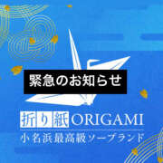 ヒメ日記 2025/07/30 10:18 投稿 一姫（AAA） 折り紙 ORIGAMI