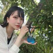 ヒメ日記 2025/06/08 16:18 投稿 黒美せいか 水戸ソープ アイドル彼女