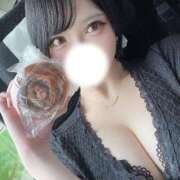 ヒメ日記 2025/08/22 07:01 投稿 黒美せいか 水戸ソープ アイドル彼女